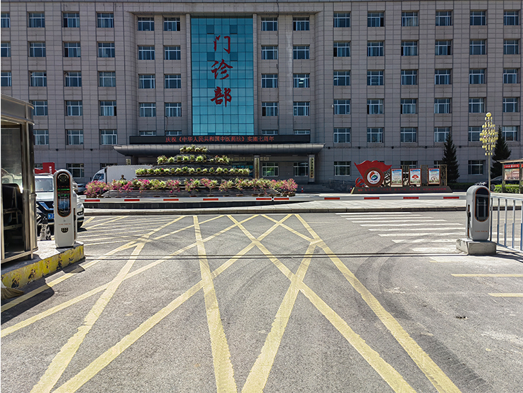 All In One License Plate Recognition Barrier Gate Turnstile Machine