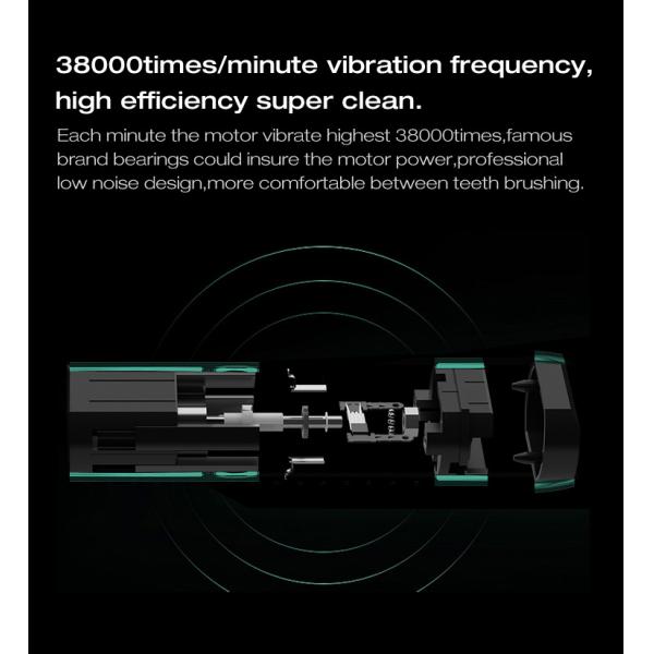 Waterproof IPX7 Low Noise Sonic Electric Toothbrush with Four Smart Working Patterns