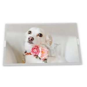 Wholesale KCG057QV1DB-G56 5.7'' 320*240 LCD CSTN-LCD PANEL from china suppliers