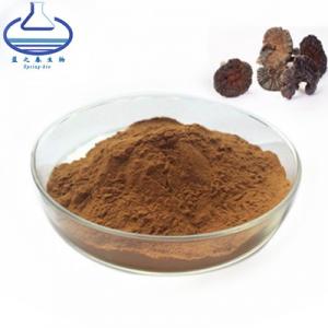 Wholesale Reishi Mushroom Ganoderma Lucidum Extract 84687-43-4 Brown Fine Powder from china suppliers