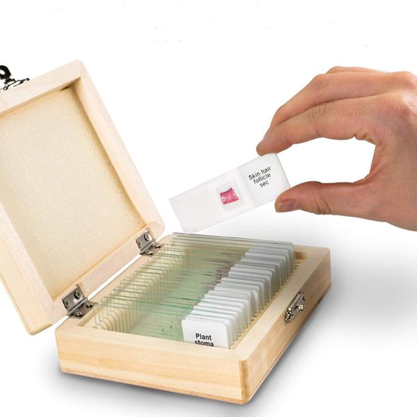 Hot Sale Histology 25pcs Biology Microscope Glass Slides For Lab Research Study
