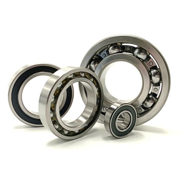 6205 Deep Groove Ball Bearing for Rear Wheels in Black Color