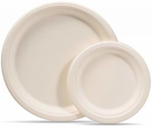 China manufacturer High quality Eco-friendly Bagasse sugarcane plates
