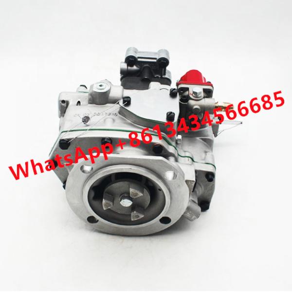 KTA19-M3 Cummins Diesel Engine Fuel Pump CQ0030 3655633