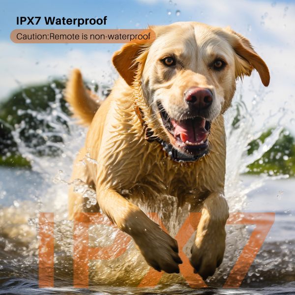 Waterproof Rechargeable Eco-friendly Electric Shock Collar 600m Remote Control Agility Training for Dogs Pet Supplies