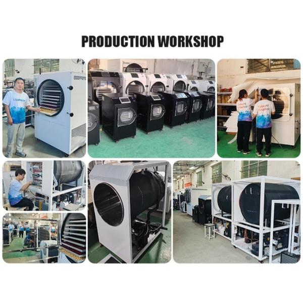 2.5M2 Food Fruit Vegetable Candy Lyophilizer Machine Vacuum Freeze Dryer Dry Machine