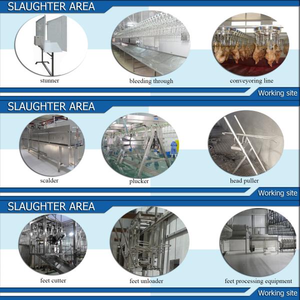 Small and Large Chicken Turkey Killing Processing Killing Slaughter Processing line Equipment