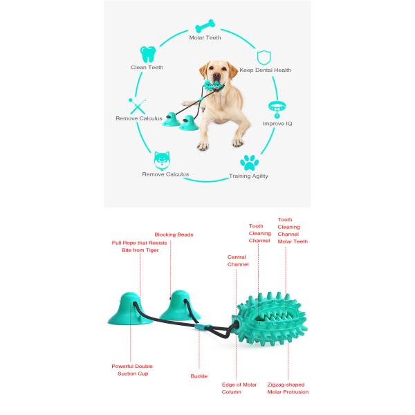 Multi-function Creative Hot Selling Double Suction Cup Stick Dog' Chew Toy Toothbrush