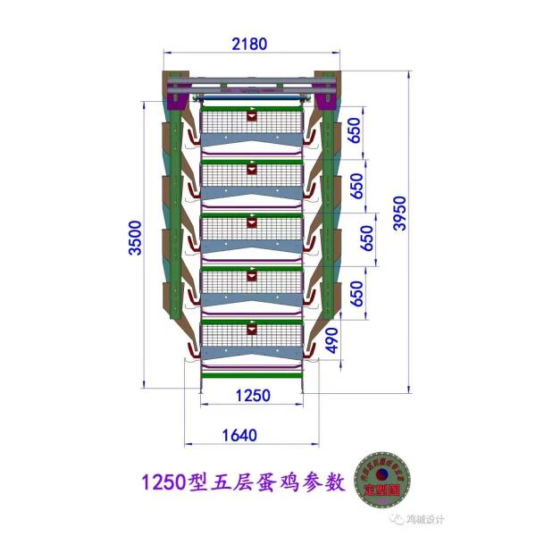 144 Birds Full Automatic Poultry Battery Cage Chicken Egg Layer Cage