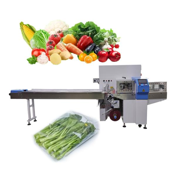 PL series pillow packaging machine overview