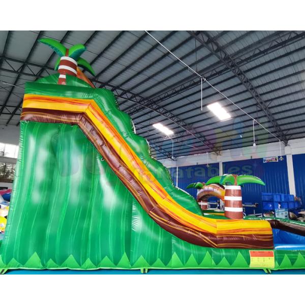 0.55mm PVC Inflatable Slide With Pool Jumping Bounce House
