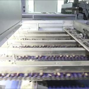 304 Stainless Steel Deep-learning Chestnut Sorting Machine: Robust, Durable,