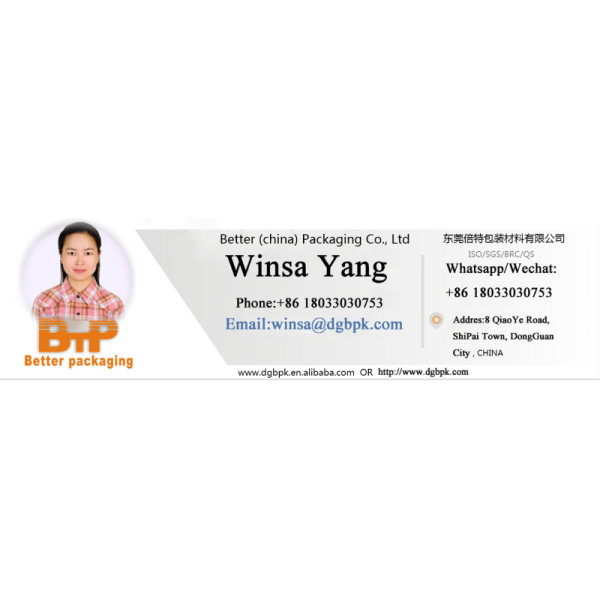 Custom Size Moisture Proof Plastic Packaging Bag with Gravure Printing for Food-grade Stand Up Pouch