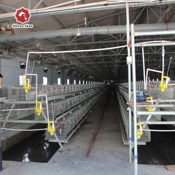 Poultry Farm Layer Chicken Cage Galvanized Long Layer Battery Cages