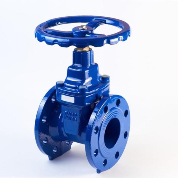 DN 300 Ductile Iron QT450 Rubber Wedge Gate Valve Gear Operated P16 DIN Standard