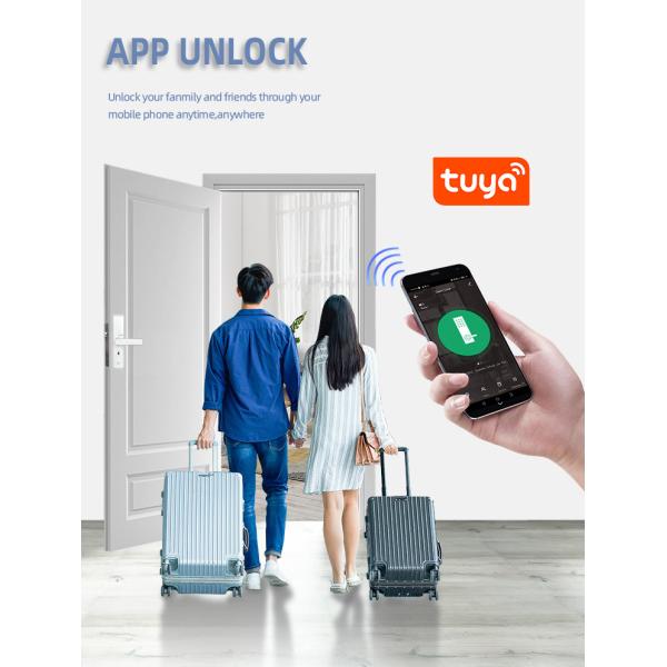 Tuya Fingerprint Door Lock