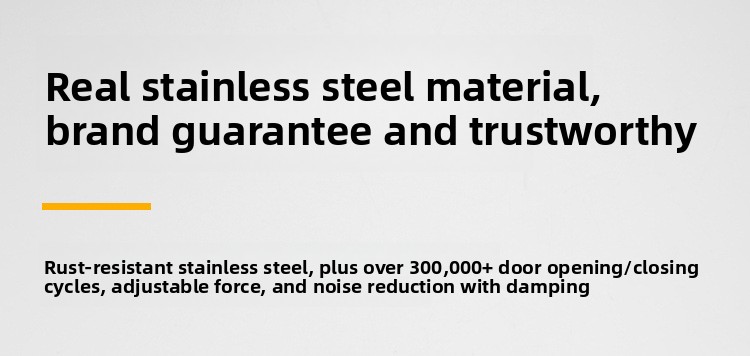 Modern Design Lightweight Stainless Steel Automatic Door Closer Adjustable Speed 180 Opening Invisible Door Spring Bathroom