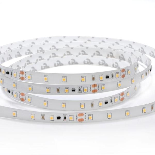 DC12V/24V Cool White High Efficiency IP68 2835 LED Flexible Strip Light