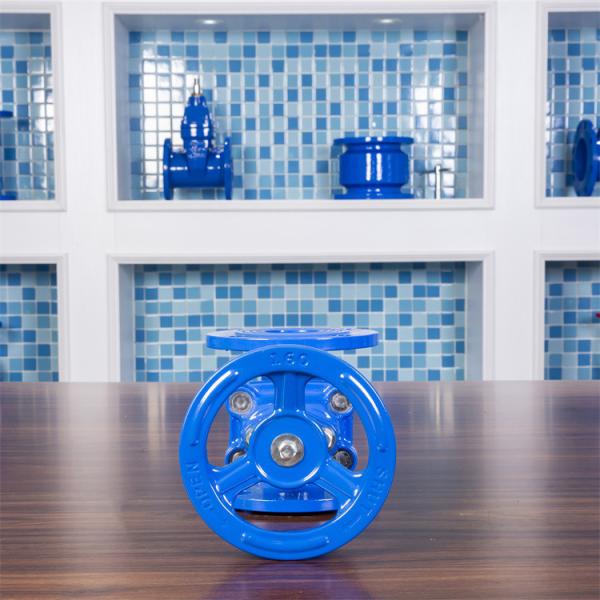 QT400 Cast Iron Cast Steel PN10 Dn50 Flange Gate Valve For Water Multiple Colour