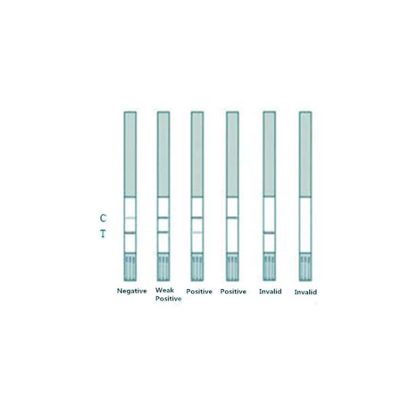 Neomycin Rapid Test Strip For Milk 96 Tests/Kit Detection Limit 5 To 10 Ppb