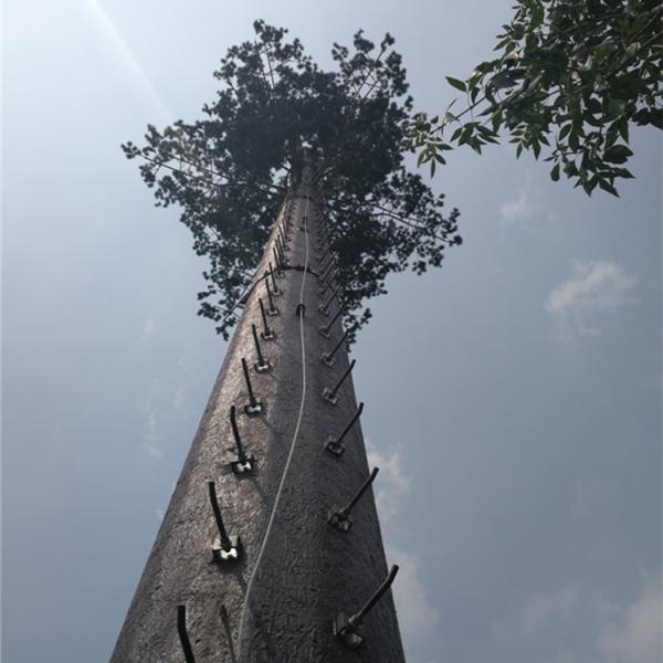 pine tree-shape lightning rod wifi antenna telecom tower