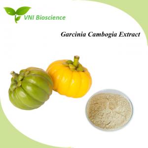 China Natural Organic Garcinia Cambogia Extract Powder For Dilating Blood Vessels on sale