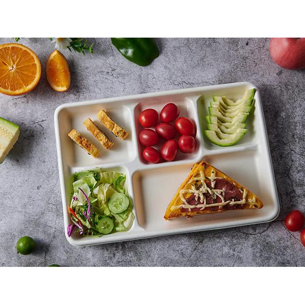 Biodegradable Sugarcane Pulp Tray 3 Compartment Disposable Tableware for Snacks Candies Hamburgers Cookies Pet Food Milk
