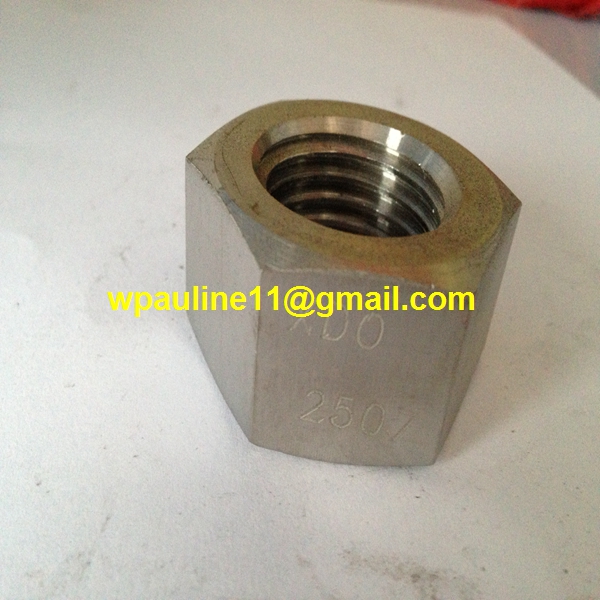 317L hexagonal nuts metric hex nuts