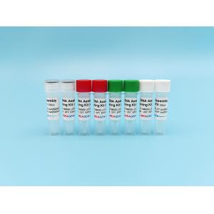 Wholesale HiFi DNA Assembly Cloning Kit from china suppliers