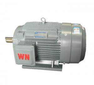 China Alternating Current 450V Three Phase Electric Motor on sale
