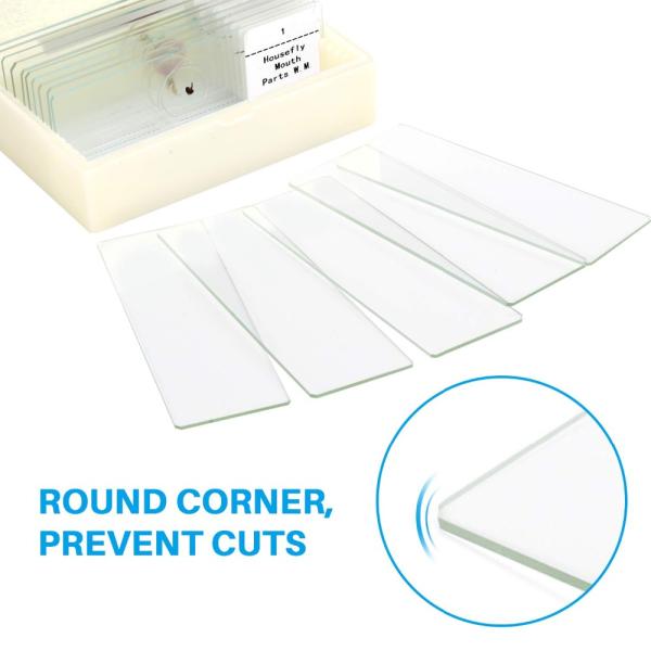 15 Pieces Mixed Botany Microscope Prepared Slides Set For Biology Education