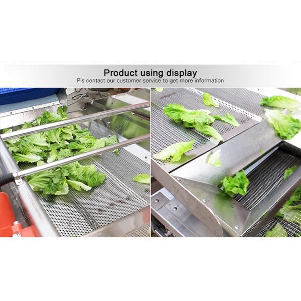 Vibration Air Dryer Vegetable Fruit Leaves Vegetables Saiko persimmon Ginger chili onion garlic Greens Lettuce Cabbage Shiitake mushrooms Mushrooms