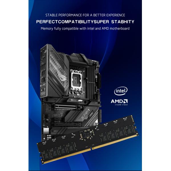 LASTINGIN DDR5 RAM 64GB 6000MHz ECC Memory Module