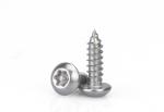 Stainless Steel Pin In Torx Drive Pan Head Self Tapping Screws Tamper-Resistant
