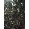 Emerald Green / Star Green Granite Stone Floor Tiles Big Slabs Granite Tiles For Bathroom Floor for sale