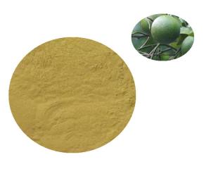 China 87.0% Hesperidin Natural Citrus Extract Yellow Powder for Skin Lightening on sale