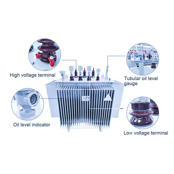 Customizable 50kVA Oil Immersed Power Transformer with 11kV Input and 0.4kV Output for Industrial Use