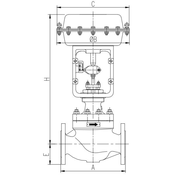 V500-ZHTS SINGLE SEATED CONTROL VALVE