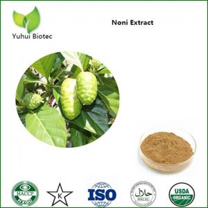 Wholesale Noni Extract,noni powder,noni fruit extract,noni p.e,noni fruit powder from china suppliers