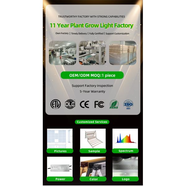 LED Grow Light 4X4 4X6FT Coverage 400W Full Spectrum LED Grow Light Panel For Hydroponic