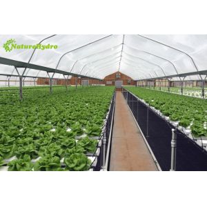 Hydroponic Nft Grow System