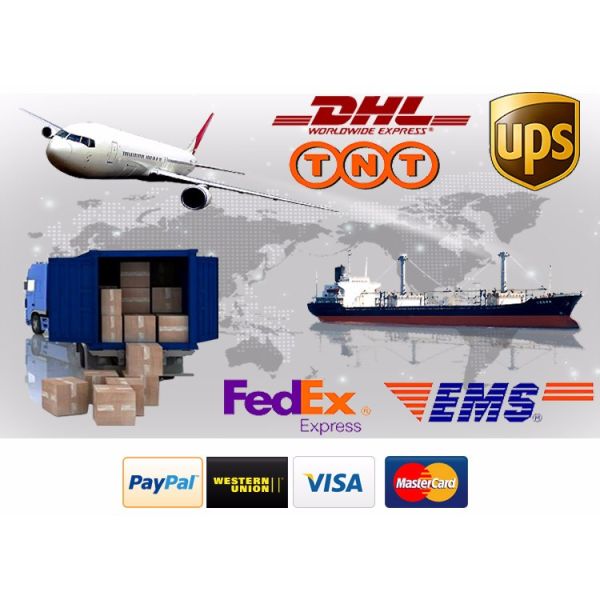 High Security Software Management System RF Hotel Door Lock Electronic Door Latches