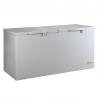 BD-615 CHEST FREEZER for sale