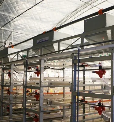 Poultry Farm Equipment Layer Chicken Cage System with Anti-Corrosion Structure Modular Design and Precision Environmental Control