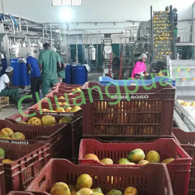 Custom Voltage 380V 410V Mango Pulper Machine Stainless Steel