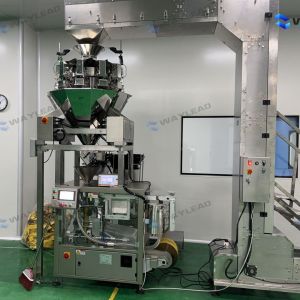 Wholesale WG210 Automatic Doypack Packaging Machine for Various Bag Types from china suppliers