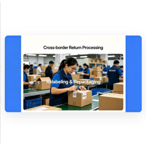 Cross Border Return Processing , Streamlined Reverse Logistics For Seamless