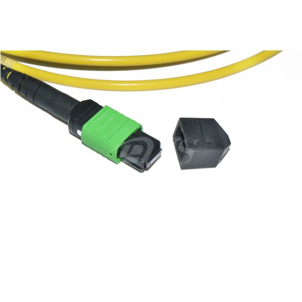 9/125 OS2 Singlemode MTP/MPO Fiber Patch Cable - 12 Fiber