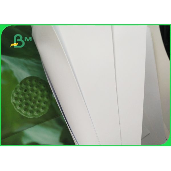 60gsm / 70gsm / 80gsm Uncoated White Paper In Reels For Excercise Book