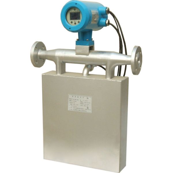 Mass flow meter flowmeter MT100M